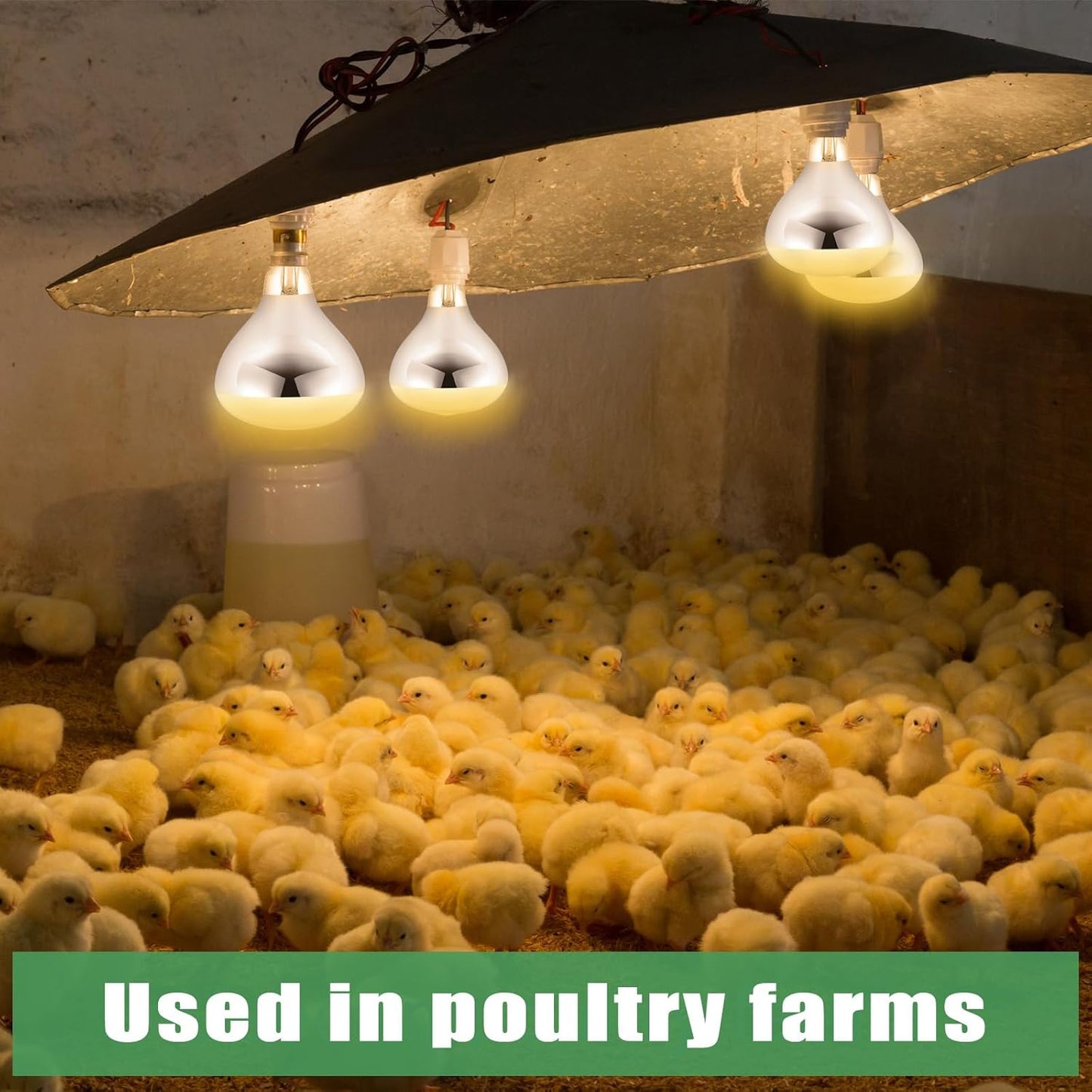 VIHOSE 8 Pack 250 Watt Heat Lamp 120v R40 Heat Lamp Bulbs Glass Incandescent Light Bulbs Incandescent Heating Lightbulbs for Reptiles Chicks Food Puppies Bathroom, Use E26 Base (Silver)