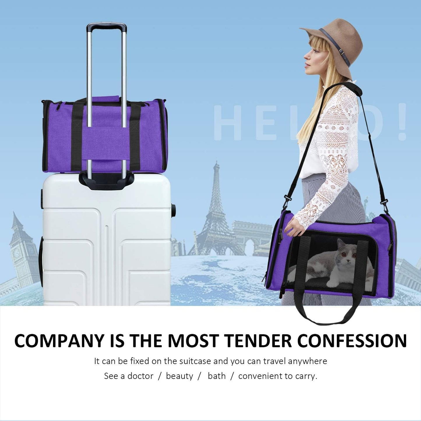 Large Cat Carriers Dog Carrier Pet Carrier for Large Cats Dogs Puppies up to 25Lbs, Big Dog Carrier Soft Sided, Collapsible Travel Puppy Carrier - Large - Purple