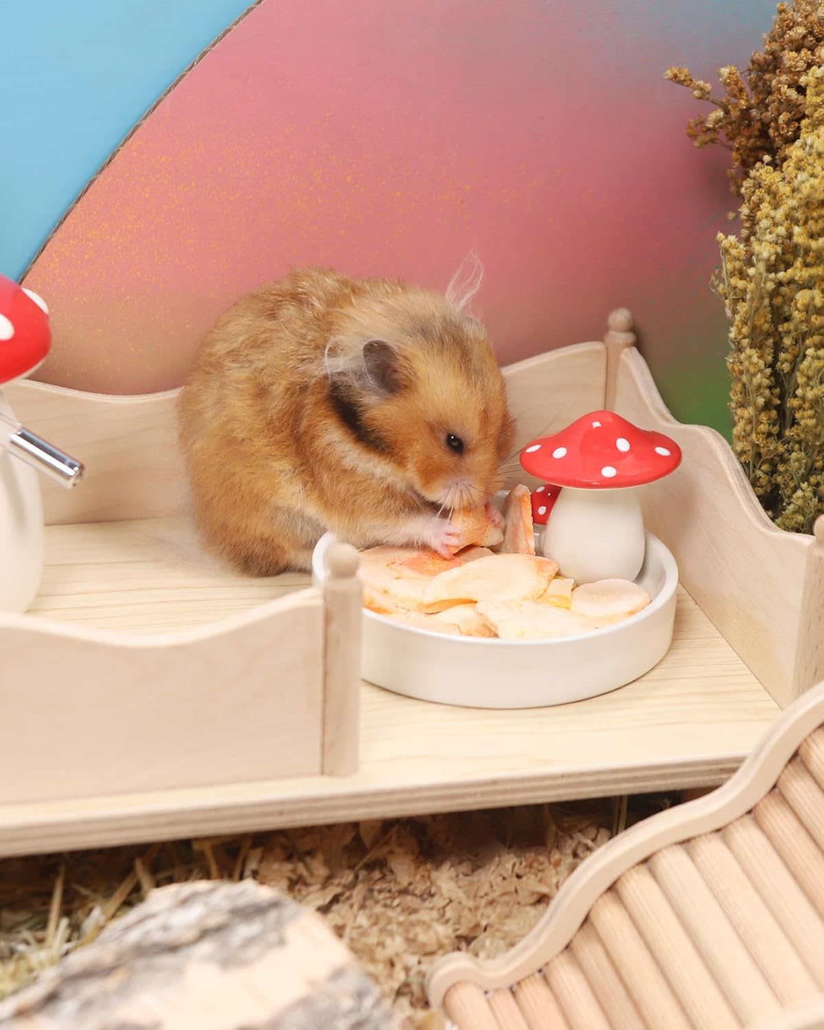 Niteangel Hamster Snack & Treats Toy - Small Animal Natural Treat for Dwarf Syrian Robo Hamsters Gerbils Mice Lemmings Degus or Other Small-Sized Pets