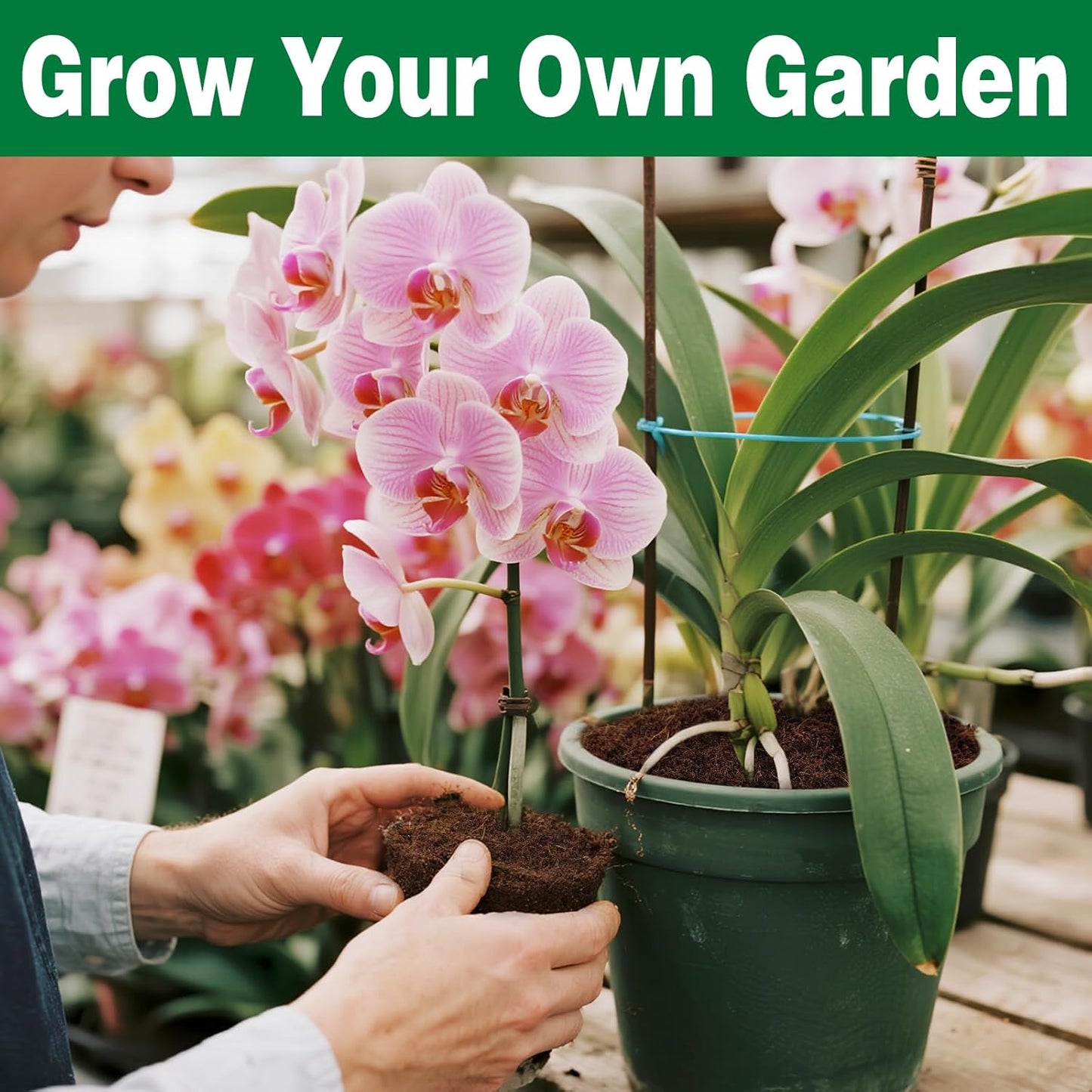 ZeeDix 10 Pcs Compressed Coco Coir Brick for Plants, Premium Organic Coconut Coir Bricks Coco Fiber Substrate Coco Coir Fiber Potting Soil with Low EC and pH Balance for Planting Gardening Reptiles