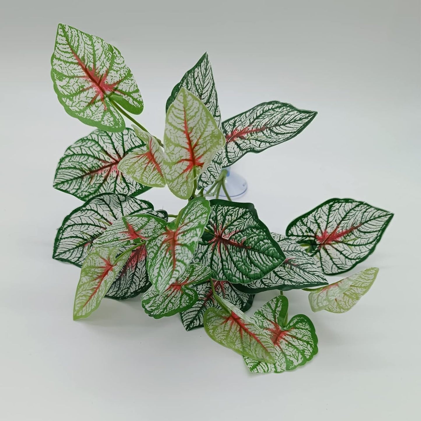 Reptile Plants for Bearded Dragon Tank Accessories, Terrarium Plant Artificial Decor for Snake Cage, Fake Plant for Leopard Gecko Habitat, Lizard Chameleon Ball Pythons (Group BN)