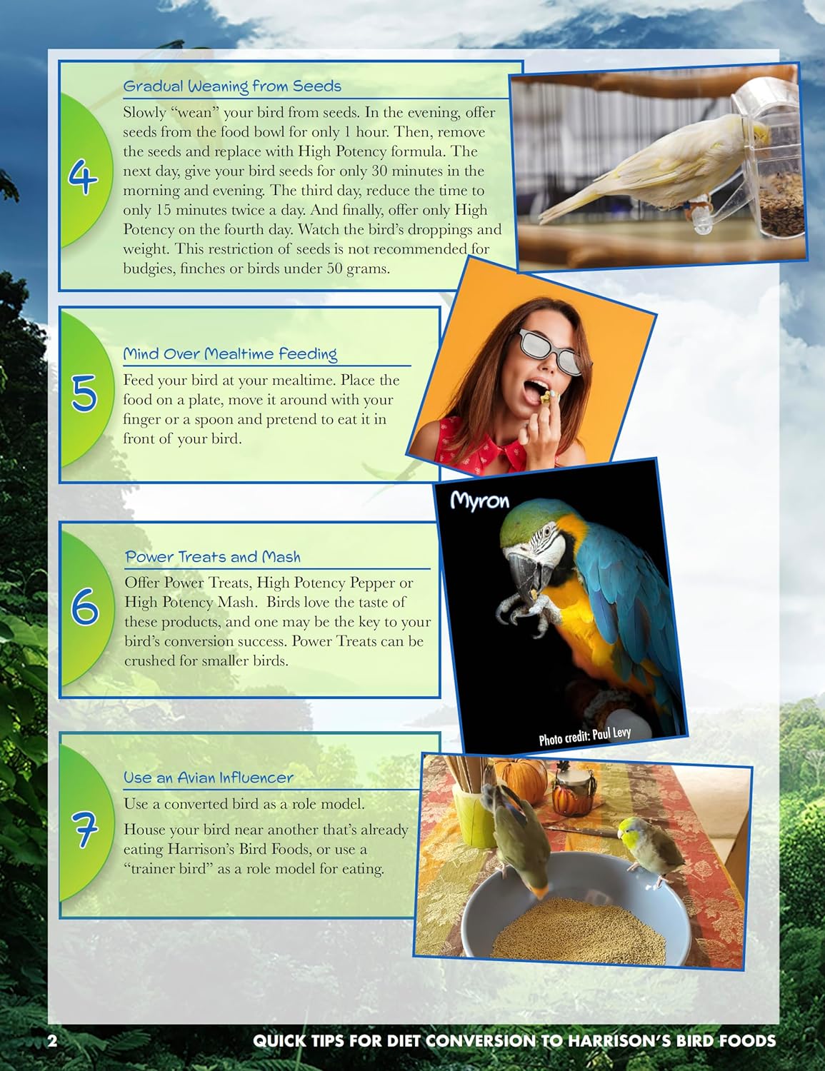 Harrison's Bird Foods High Potency Maximum Nutritional Formula for Small to Medium Birds, Certified Organic Non-GMO Pet Bird Food, Vet-Developed, Suitable for All Life Stages, 454 g/ 1 lb