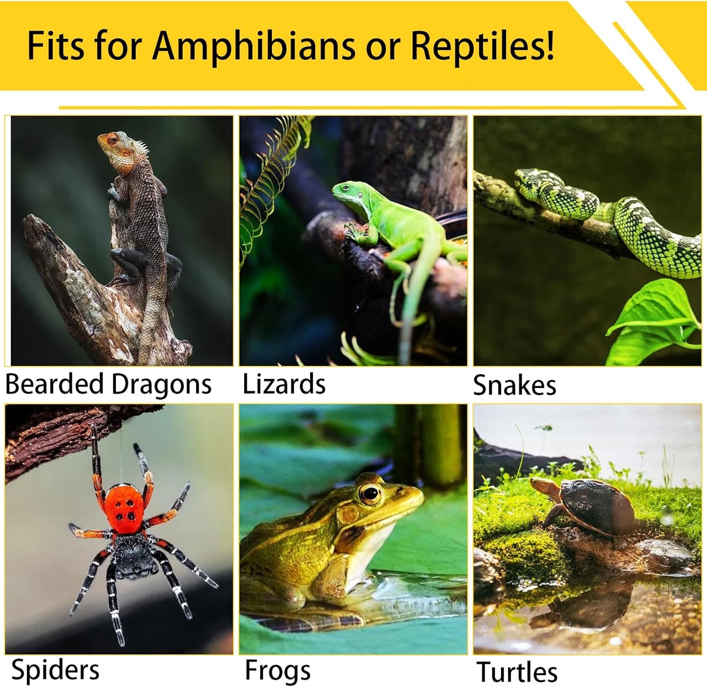 4PCS Cork Terrarium Background 15.7x11.8in Reptile Tank Background Board Habitat Decoration, Natural Cork Large Bark Climbing Mat for Gecko Lizard Tortoise Chameleon