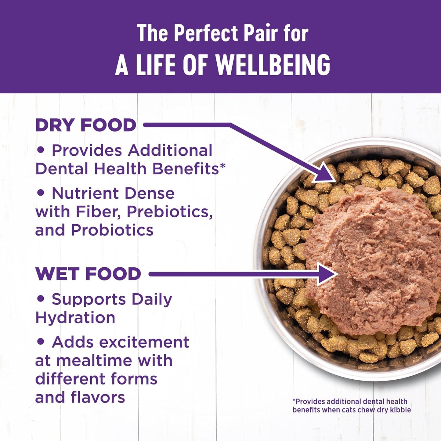 Wellness Complete Health Pate Adult Wet Cat Food, Natural, Protein-Rich, Grain Free, 3 Ounce, 24 Pack, (Turkey)