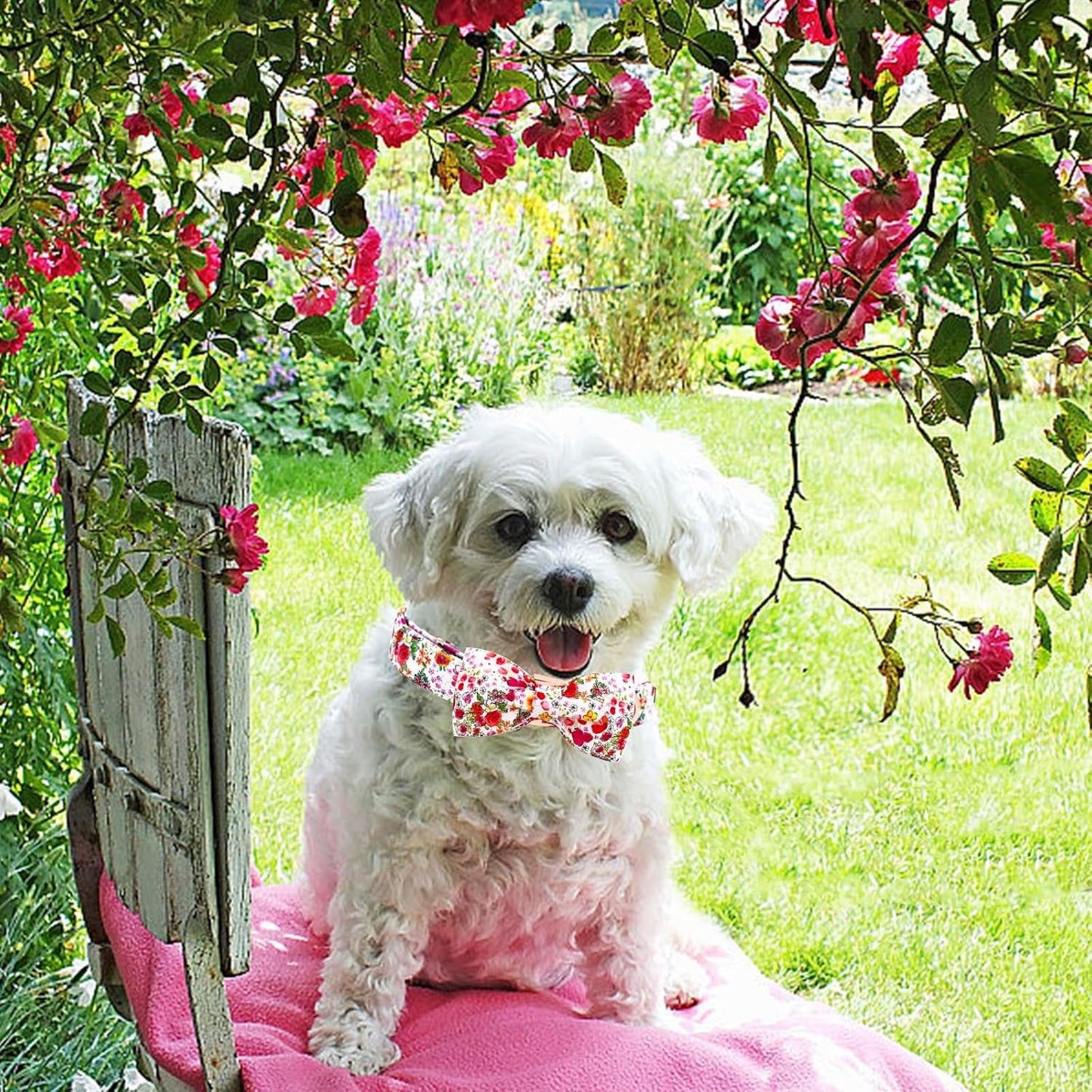 Elegant little tail Dog Collar, Pink Rose Print Pet Collar Summer Dog Collar Durable Metal Buckle Dog Collars Cotton Pet Adjustable Dog Collars for Medium Dogs