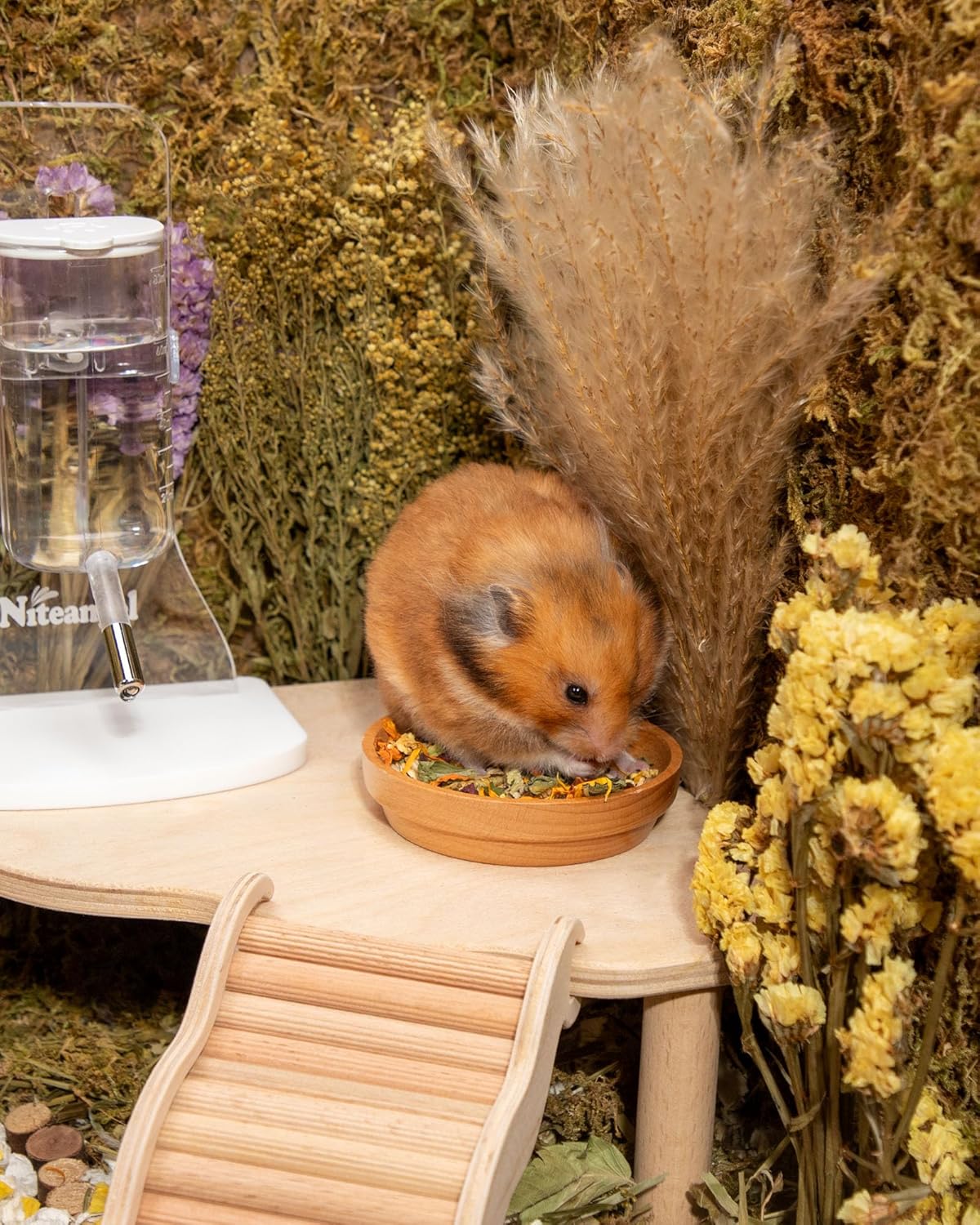 Niteangel Golden Hamster Food & Treats - Small Animal Natural Food for Syrian Golden Hamsters or Other Small-Sized Pets