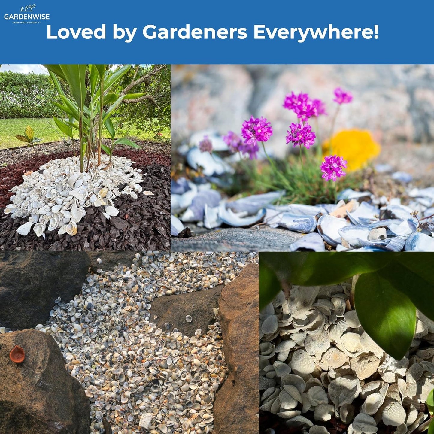 Natural Organic Sea Shell Mulch for Gardens and Landscaping – Decorative and Nutrient-Rich, 0.5–3-Inch Shells, Perfect for Indoor and Outdoor Use (0.3 CF - 8 L - 9 QTS)