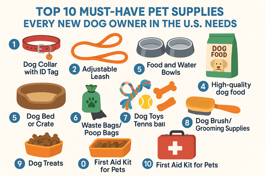Top 10 Must-Have Pet Supplies Every New Dog Owner in the U.S. Needs