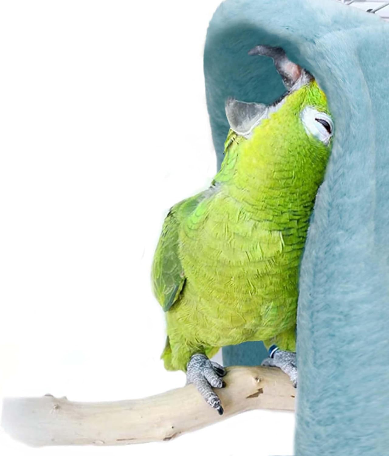 SIMENA Bird Blanket for Cage, Corner Fleece Bed for Birds, Cozy Bird Warmer, Parrot House for Cage, Cuddle Nest Hanging Toy for Lovebirds Parakeet (Blue, Large)