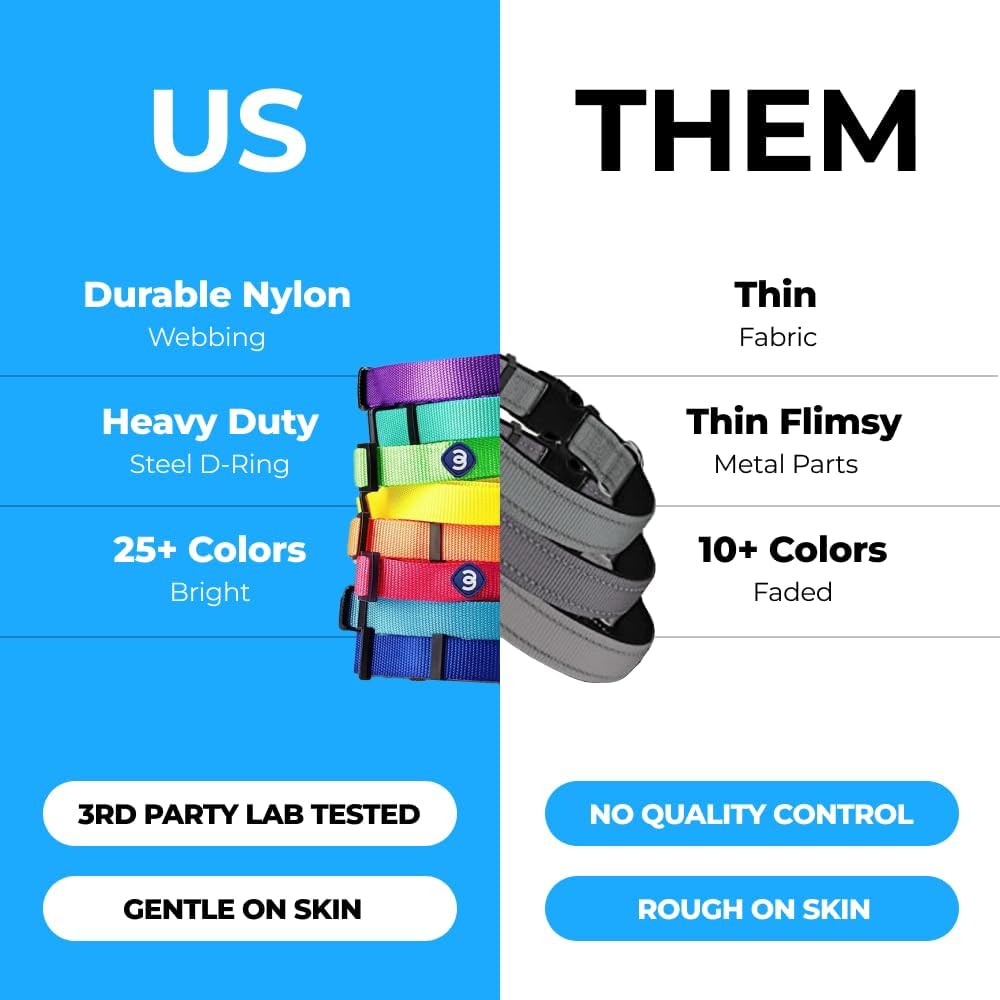 Blueberry Pet Essentials Matching Medium Dog Collar | Adjustable Classic Solid Color Nylon Dog Collars for Medium Dogs | Purple Dog Collar for Medium Dogs