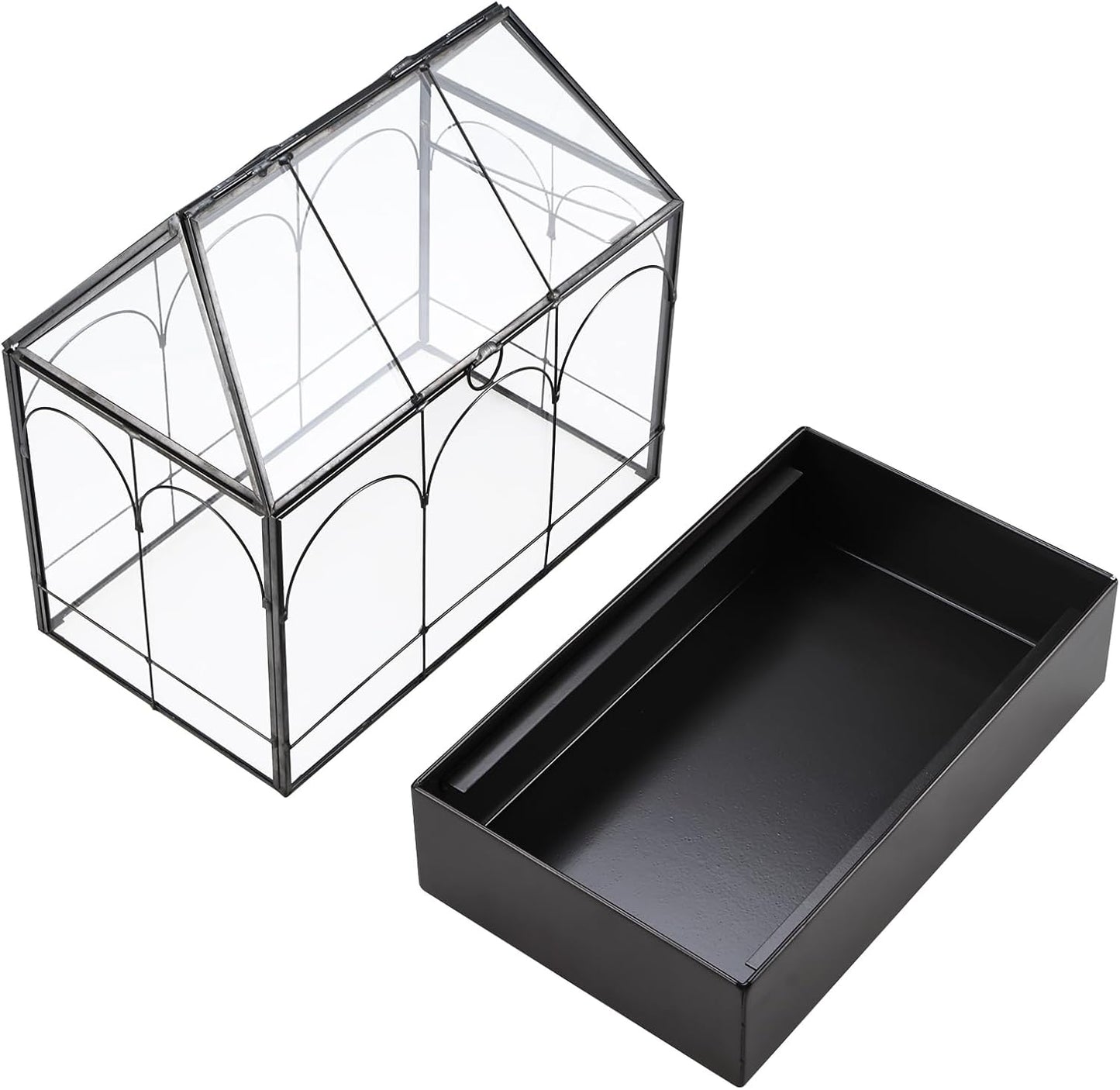 HighFree Glass Terrarium with Metal Tray, Glass Greenhouse Terrarium Kit for Succulents, Cacti, Snails, Spiders, and Miniature Reptiles, Black (Large-9.45" L x 5.7" W x 11.8" H)