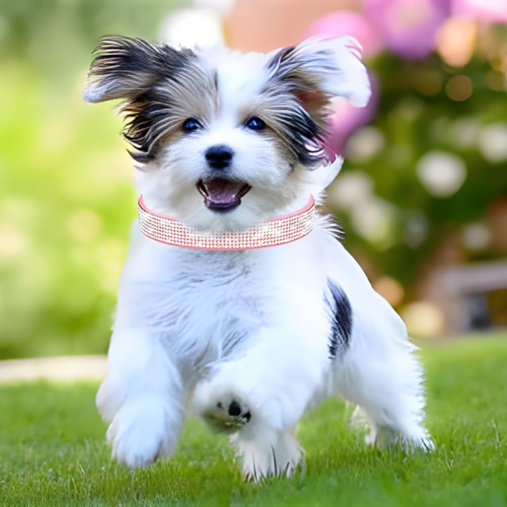 Rhinestone Dog Collar for Small Dogs, Bling Diamond Fancy Crystal Glitter Pretty Jewel Pet Puppy Collars for XXS XS Small Medium Large Breed Girl Dogs Female Cats Kitten, Colorful Hot Pink L