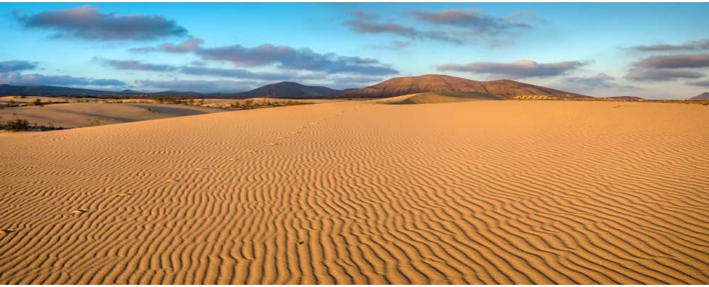 Renaiss 6x3ft Desert Photography Backdrop Golden Ripple Desert Mountain Sand Dunes Blue Sky Gobi Scenery Background Nature Landscape Backgrounds Wilderness Photo Video Shoot Studio Props
