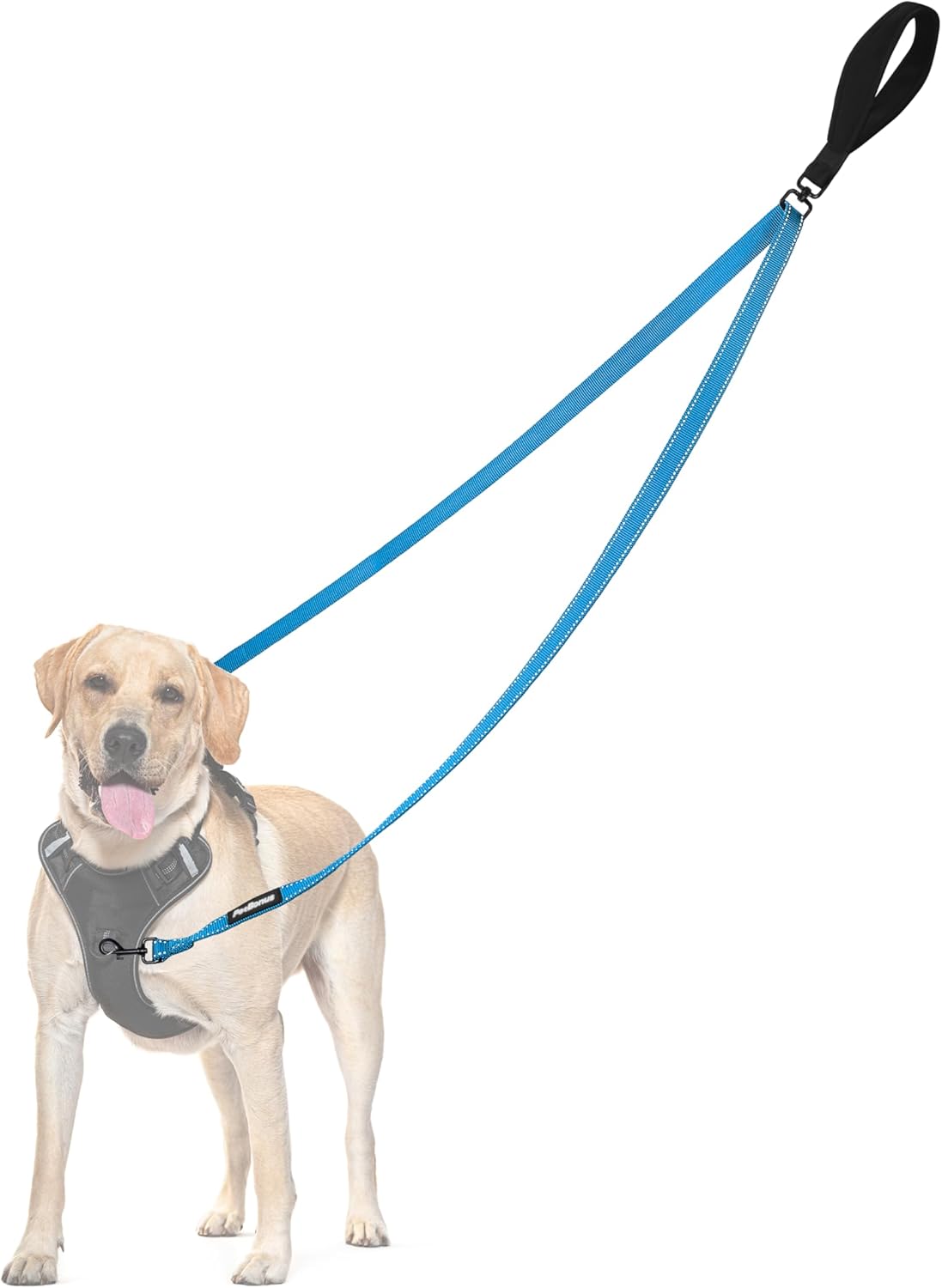 PetBonus Two Point Control Dog Leash, Works with No Pull Harnesses, No Tangle Training Leashes, Soft Padded and Reflective Walking Lead, Converts to Single Lead for Medium Large Dogs (Light Blue)