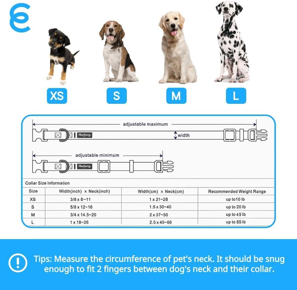 Blueberry Pet Essentials Large Dog Collar in Turquoise | Adjustable & Eco-Friendly Durable Nylon Strap | Classic Collar for Large Dogs, Boy & Girl Pets