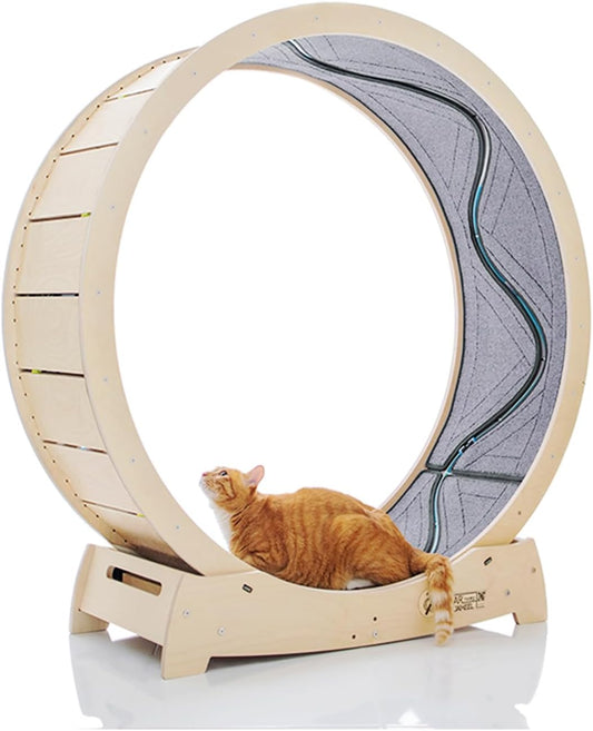 Star Cat Wheel, Cat Treadmill, Exercise Wheel for Running, Spinning, Scratching, and Climbing for Indoor Cats, Premium Birch Wood, Eco-Friendly, Moving Fish, Wide Running Track, 47.2 inch XL Size