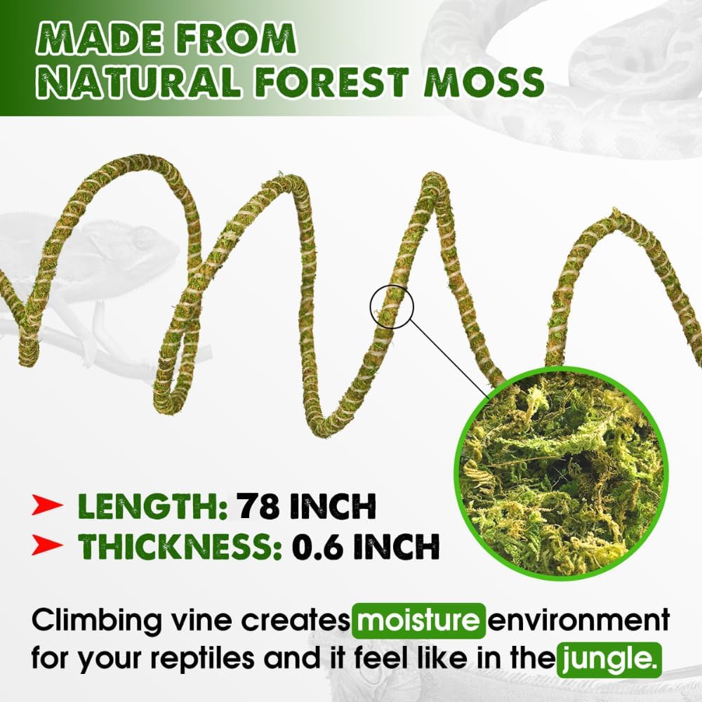 Duspro 6.5FT Reptile Vine & Moss Set for Climbing Bendable Branch, Natural Moss Rope Jungle Decor for Bearded Dragon, Chameleon Tank Accessories, Snake Gecko Lizard Terrarium