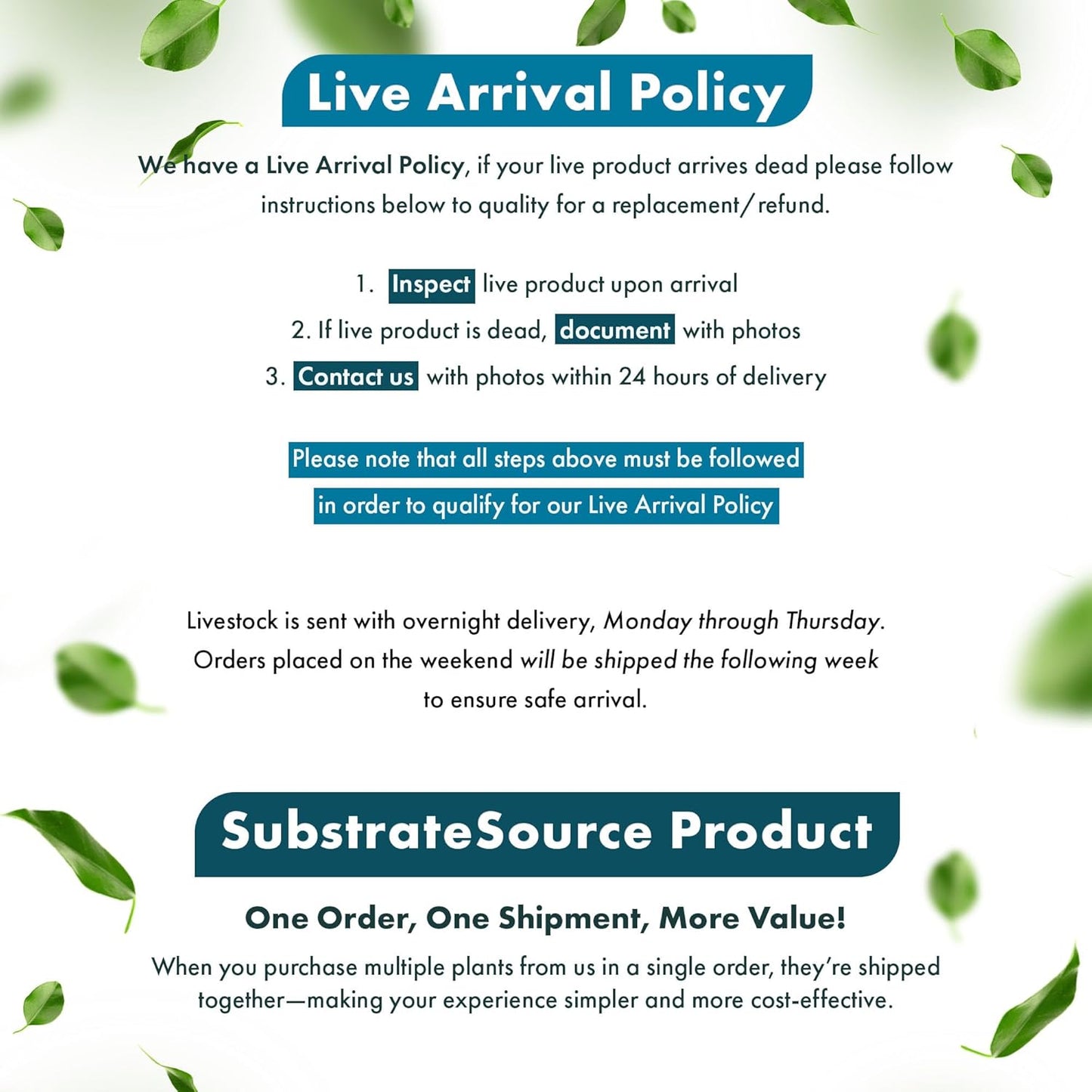 SubstrateSource Live Aquarium Stem Plants - Freshwater Aquatic Plant for Fish Tanks, Aquascaping - (Needle Leaf Ludwigia Arcuata, 1 Bunch)