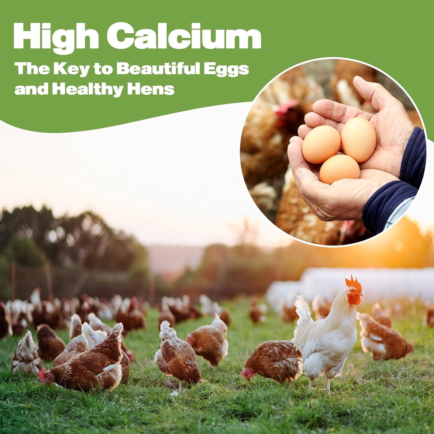 22LB Dried Black Soldier Fly Larvae, 2 Pack of 11 LBS, 86X Calcium Than Dried Mealworms, High Protein Non-GMO Organic Chicken Feed