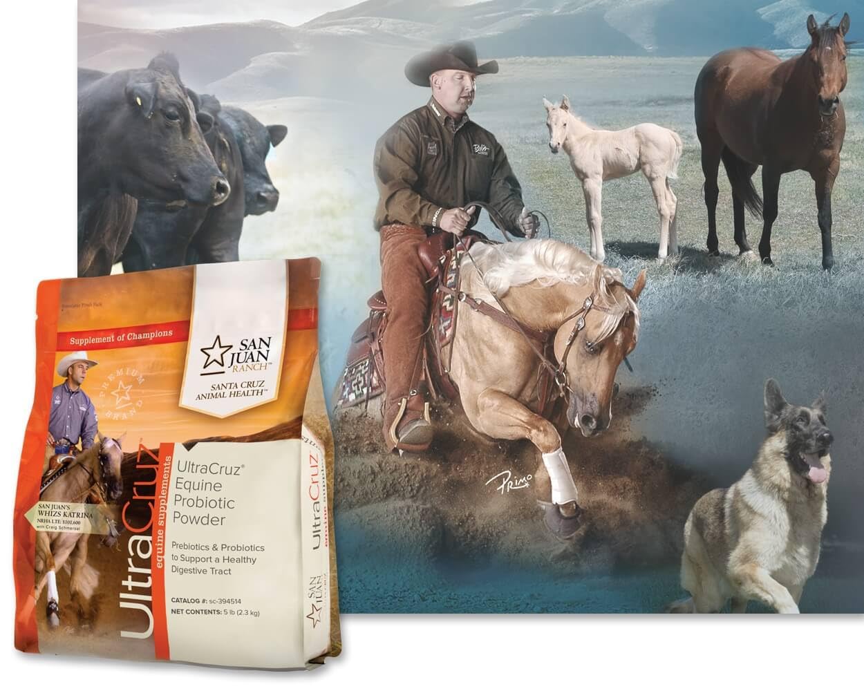 UltraCruz® Equine Probiotic Powder, 5 lb