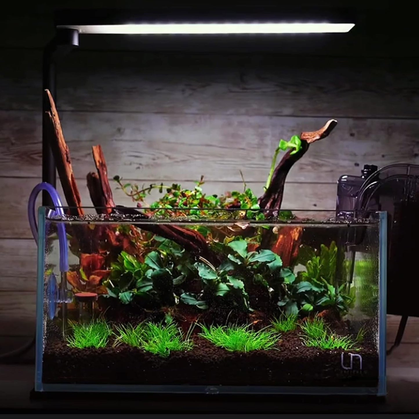 majoywoo Natural Small Driftwood for Aquarium Decor Reptile Decor, Assorted Driftwood Branch 2-4.5" 10 Pcs, Fish Tank Decorations