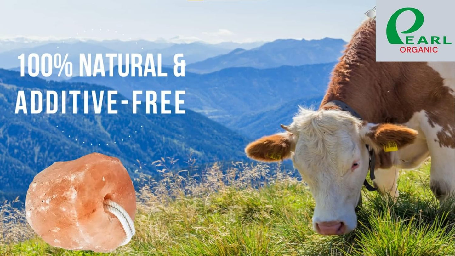 New 6 lbs Animal Himalayan Salt Lick on Rope for Horses, Deer, Rabbits, Cows and Other Livestock | Lick Salt for Deer | Digestive Aid for Animals | Horse Treats (6lbs)