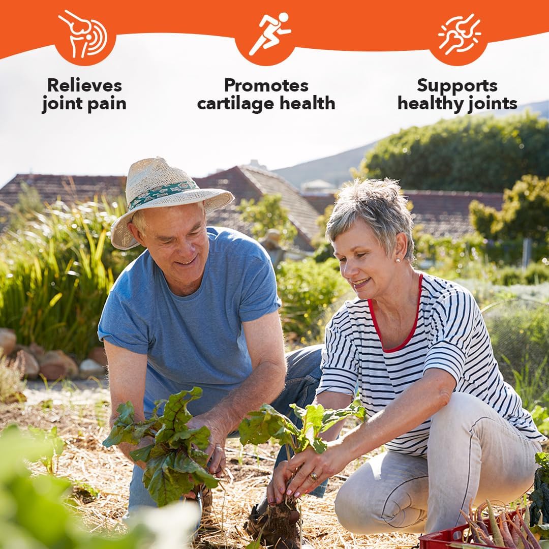 LifeSeasons Mobili-T - Joint Support Supplement - Reduces Aches & Discomforts - Increase Range of Motion - Rebuild Tissue & Cartilage - MSM Chondroitin Collagen Glucosamine & Turmeric - 120 Capsules