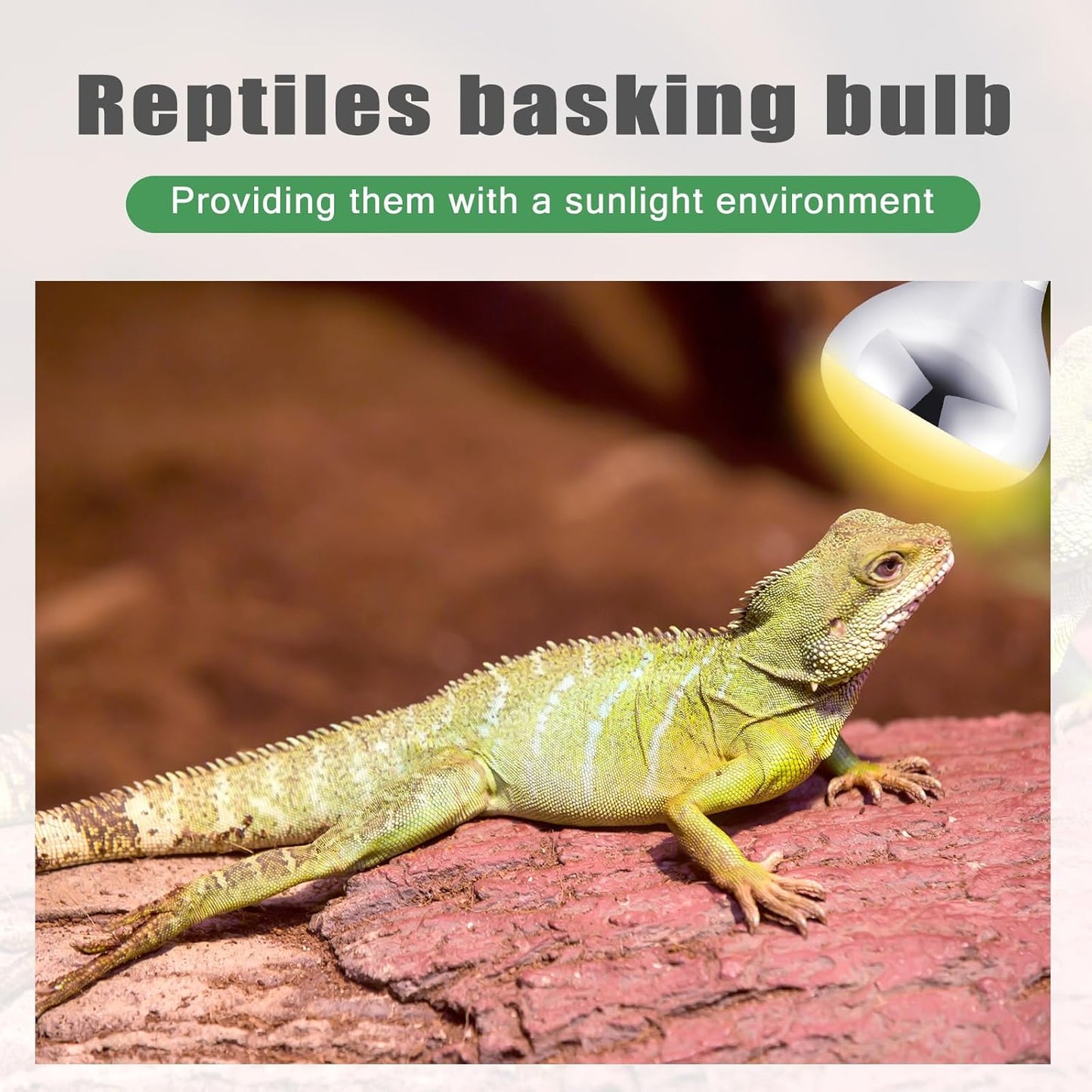 VIHOSE 24 Pack 250 Watt Heat Lamp 120v R40 Heat Lamp Bulbs Glass Incandescent Light Bulbs Incandescent Heating Lightbulbs for Reptiles Chicks Food Puppies Bathroom, Use E26 Base (Silver)