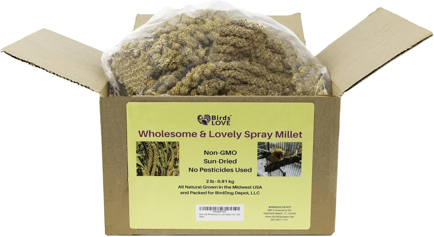 Birds LOVE Wholesome & Lovely Spray Millet Non-GMO for Birds Cockatiel Lovebird Parakeet Finch Canary All Parrots Healthy Treat - 2LBS