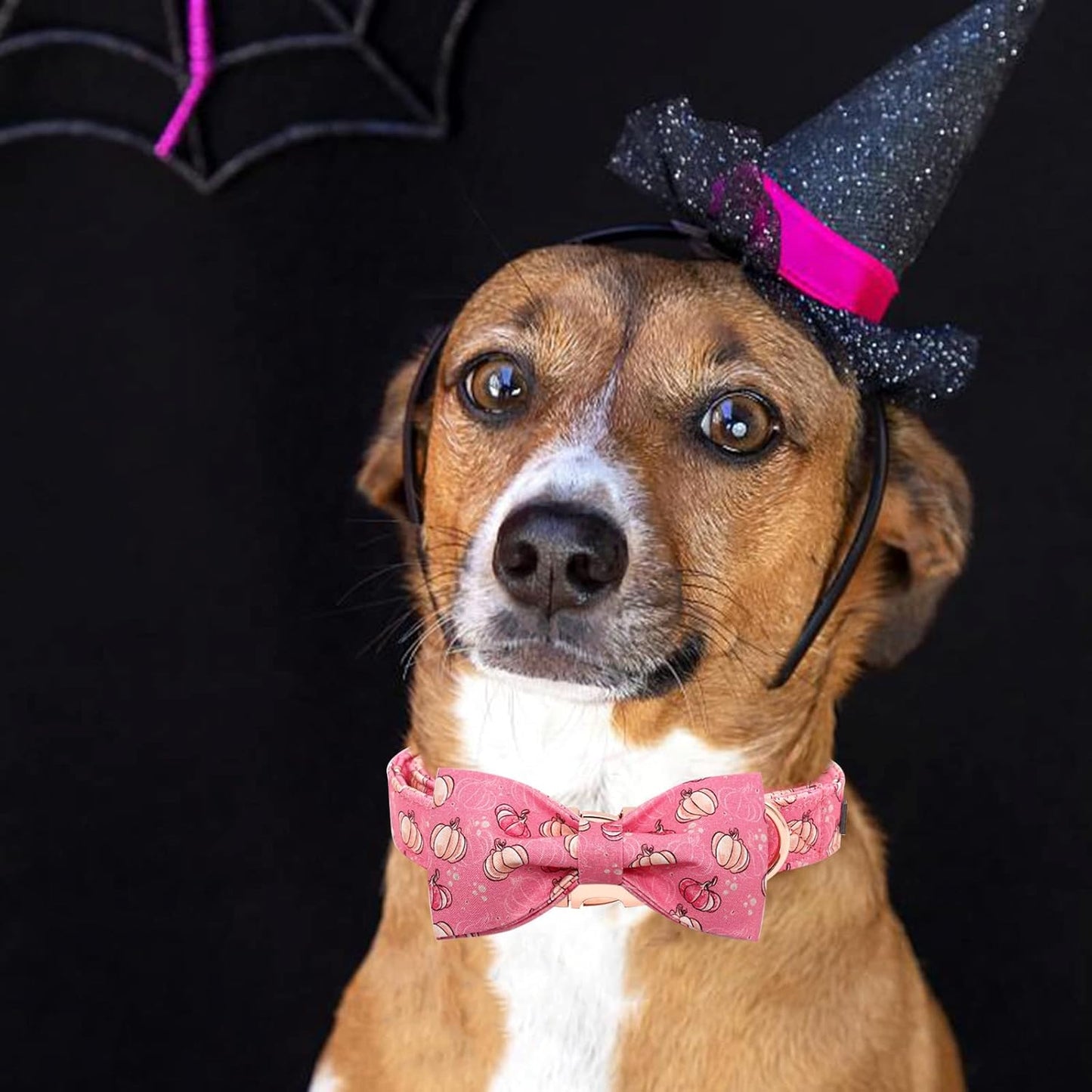 Elegant Little Tail Dog Collar with Bow, Adjustable Halloween Pumpkin Bowtie Pet Gift Collar for Small to Large Dogs