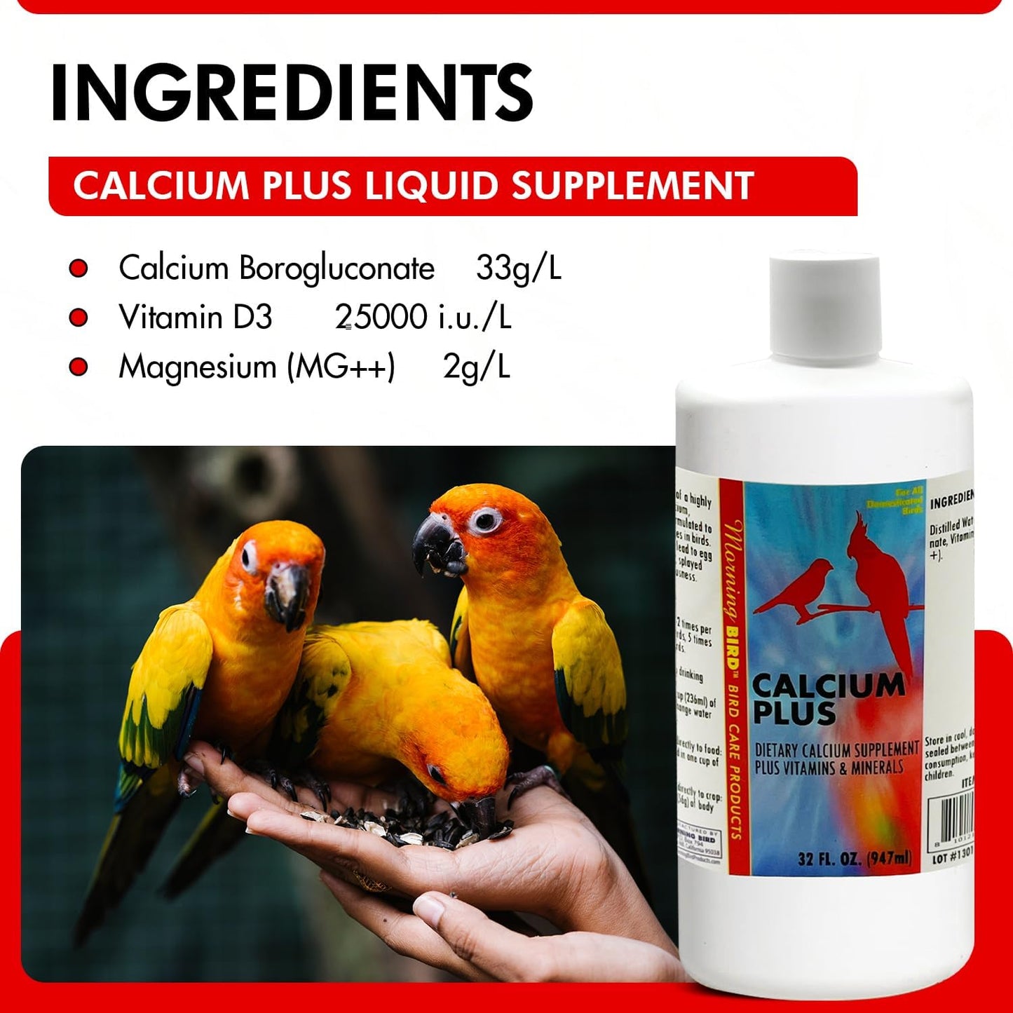 Morning Bird Calcium Plus Liquid Supplement for Birds - Liquid Calcium Formula with Magnesium and Vitamin D3 Calcium Supplement for All Birds – 32 Fl Oz