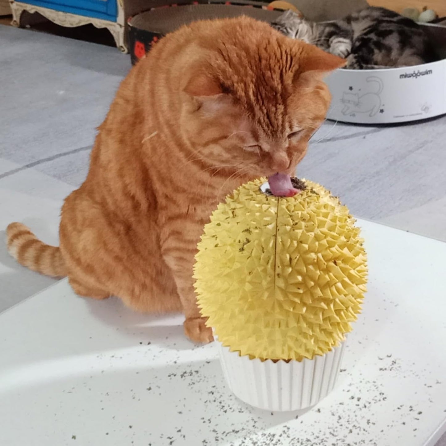 Catnip Feeder - Cat Face Scratcher Wall Corner Massage Comb for Indoor Cats Self Grooming Brush (Green)