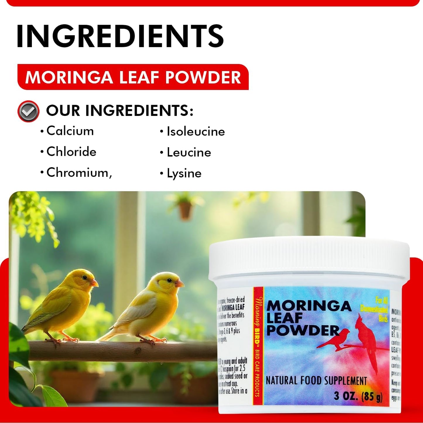 Morning Bird Moringa Leaf Powder 3 oz – Natural Food Supplement for Birds, Rich in Vitamins & Minerals, Boosts Immune System & Energy, Supports Healthy Feathers, Digestion, and Overall Avian Wellness