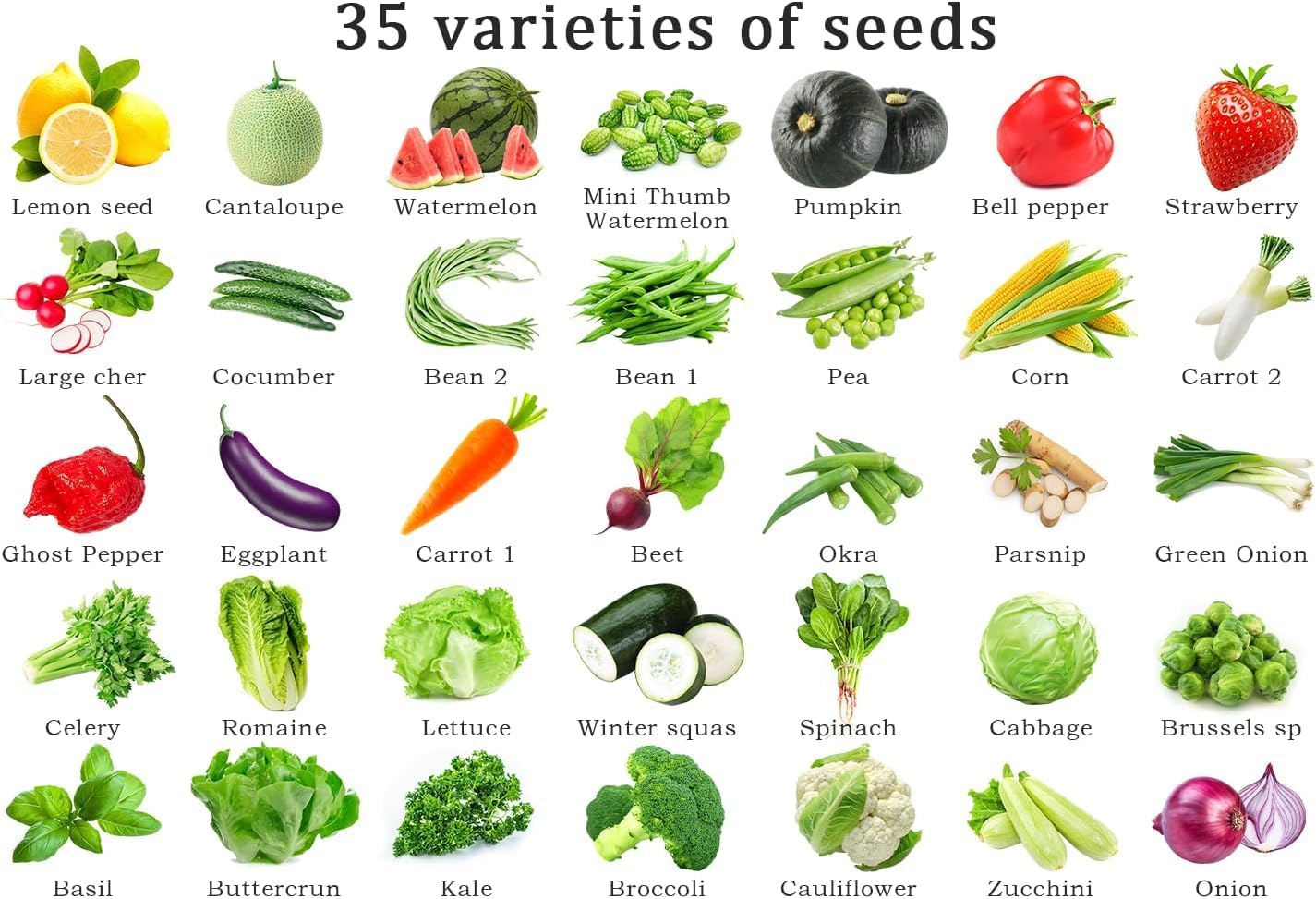 Vegetable Seeds Kit Fruit Seeds for Planting Non-GMO and Heirloom 35 Varieties Seeds for Planting Vegetables 10 Plant Markers