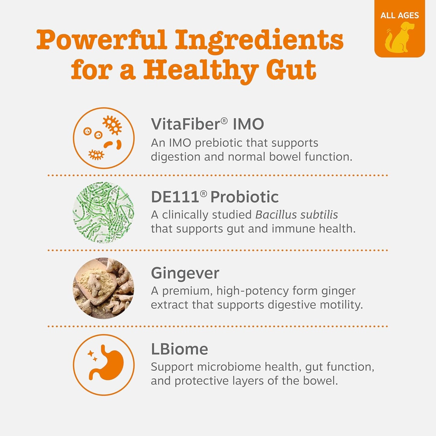 Zesty Paws Vet Strength Probiotics for Dogs, Digestive Health & Gut Flora Support, Dog Supplements, 90 Count