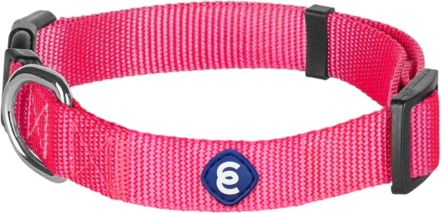 Blueberry Pet Essentials Medium Dog Collar in French Pink | Adjustable & Eco-Friendly Durable Nylon Strap | Classic Collar for Medium Dogs, Boy & Girl Pets