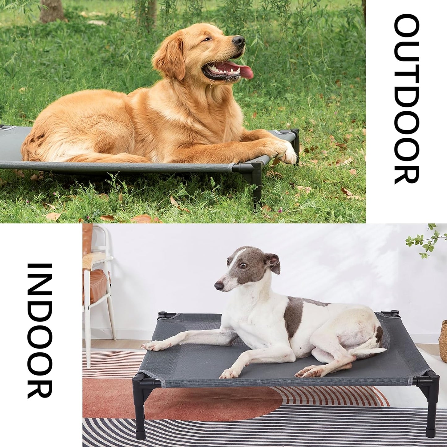 pettycare Elevated Outdoor Dog Bed - Dog Cots for Medium Pet, Heavy Duty Raised Cot Waterproof, Cooling Pets Bed with Washable Durable Teslin Mesh and Non Slip Feet, 32 Inches, Grey