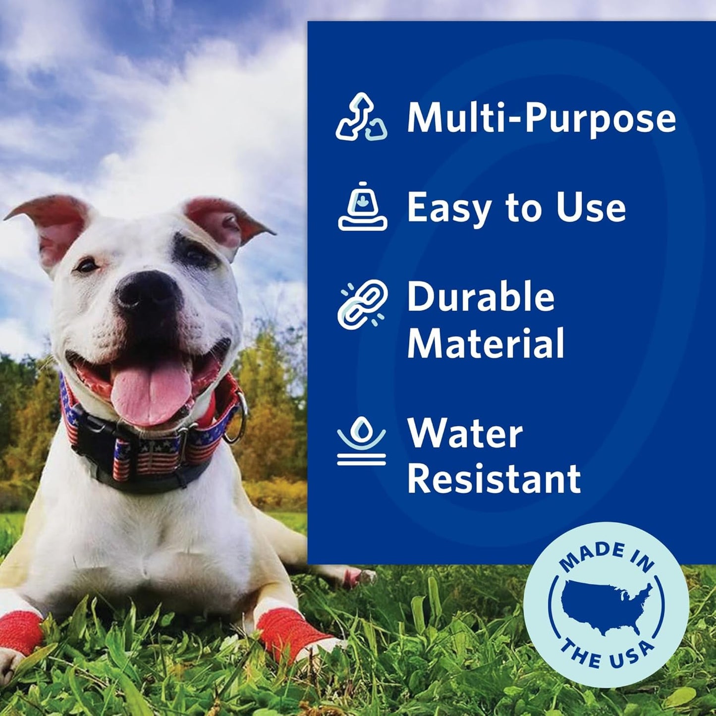 PetFlex Color Pack – Flexible Self-Adhering Elastic Bandage for Wound Care – First Aid Wrap for Small Animals Like Dogs, Cats, and Other Pets - 2 inch, 6 Rolls