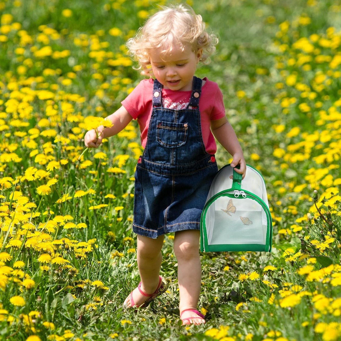 Small Butterfly Habitat, Insect Mesh Cage, Caterpillar Enclosure, Critter Cage, Bug Terrarium Portable Carry Handle Easy to Observe 8 x 8 x 8 Inches