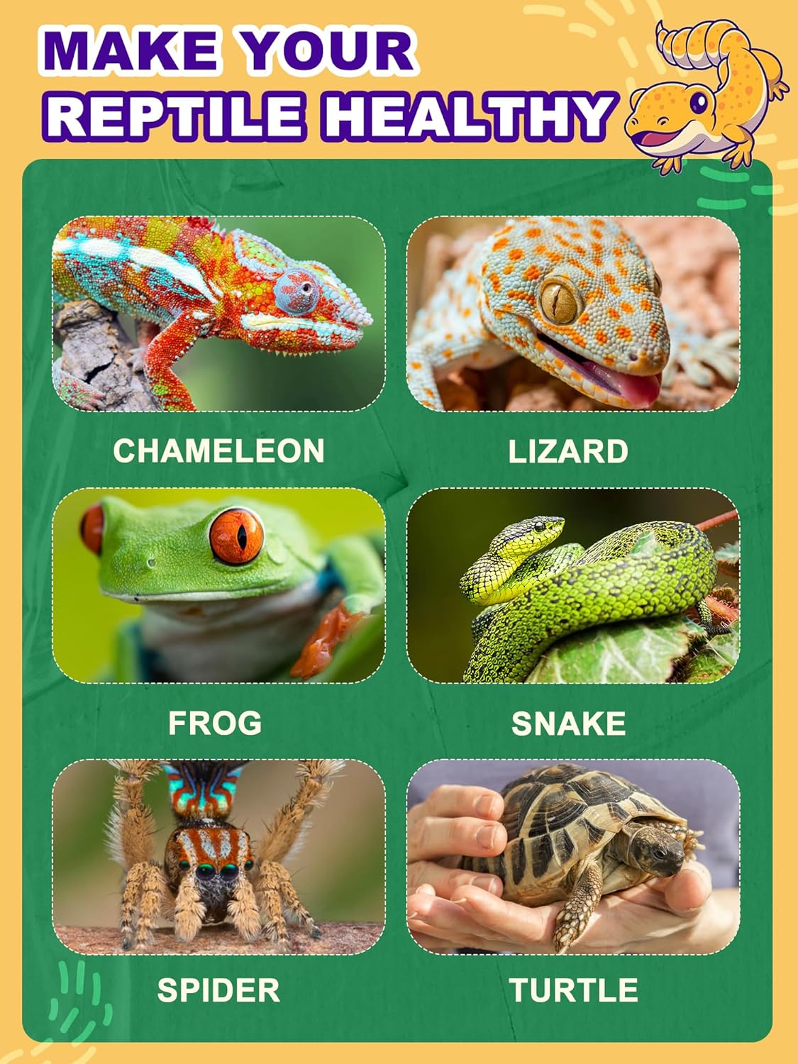 Heat Lamp Bulb, 80 Watt Full Spectrum UVA UVB Reptile Heat Bulb, Basking Spot Light, Simulate Natural Sun Light for Reptile and Amphibian