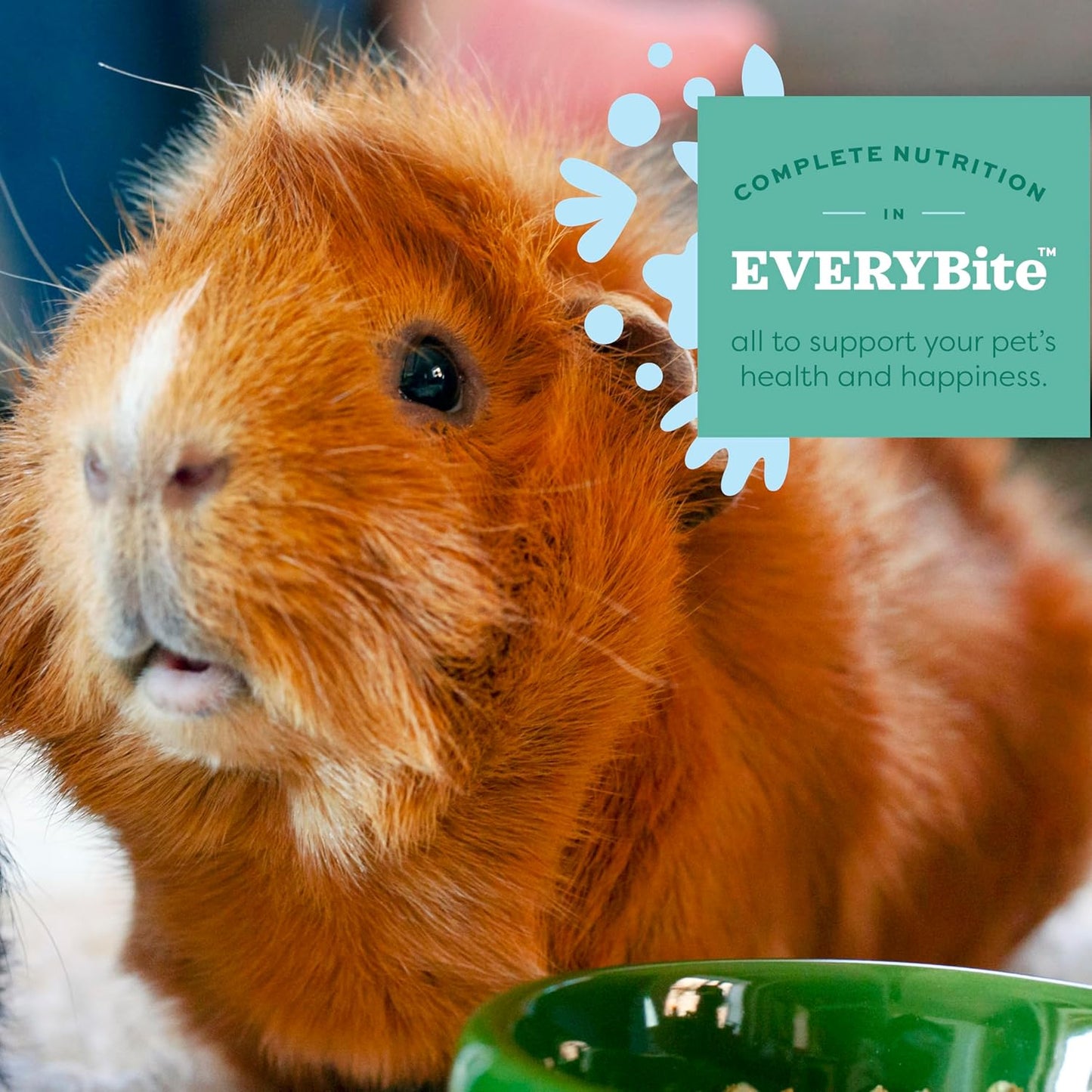 Oxbow Essentials Guinea Pig Food, Young Guinea Pig, Made Alfalfa Hay, Pet Food Pellets with Vitamin C, Small Animal Pet Products, Made in USA, High Fiber, 5 lb. Bag