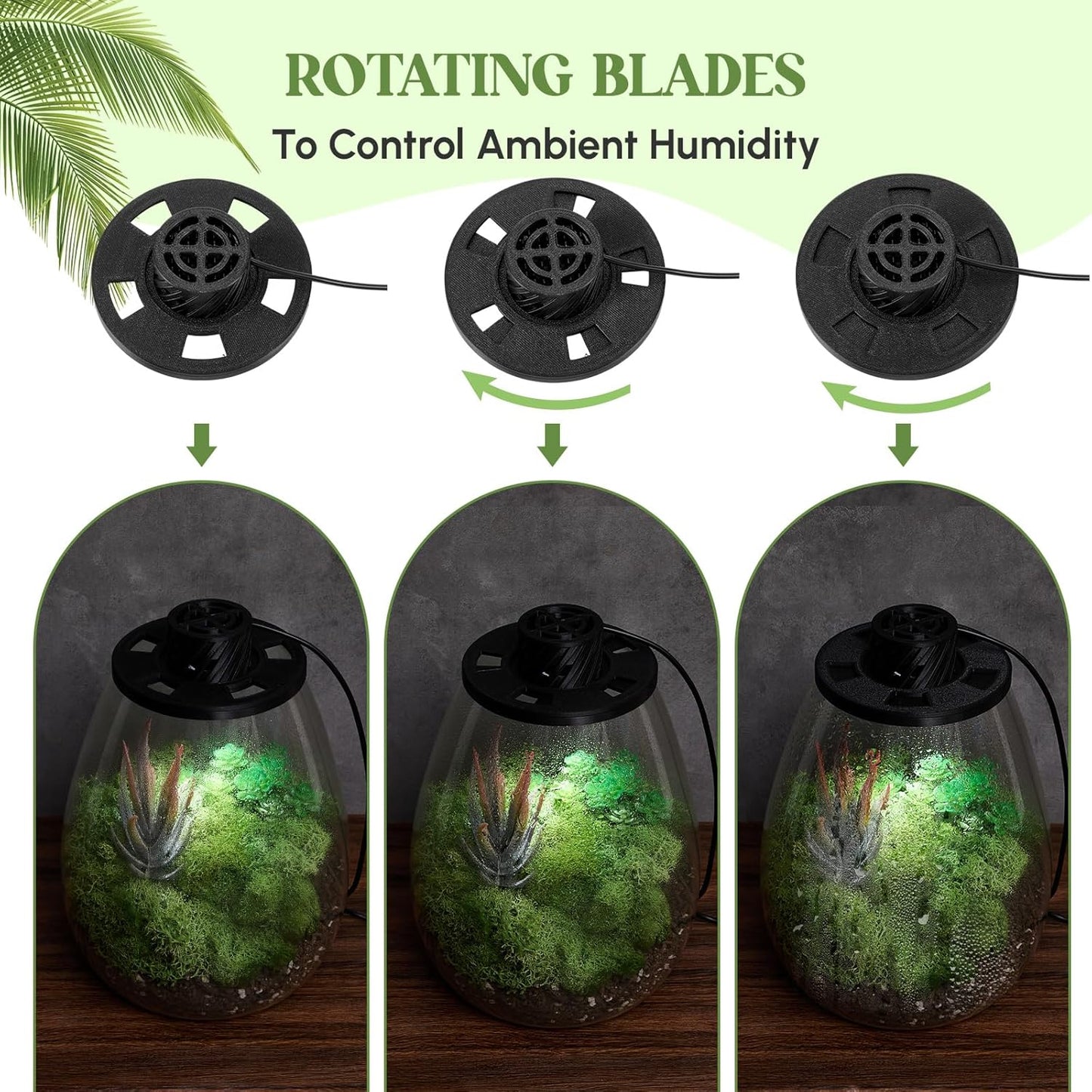 Maxdot Glass Plant Terrarium Kit with Light for Succulent, Moss, Miniature Gardening Landscape, Betta Fish Tank, Office Home Decoration, Plant Lovers Gifts (6.9 x 7.8 Inch)