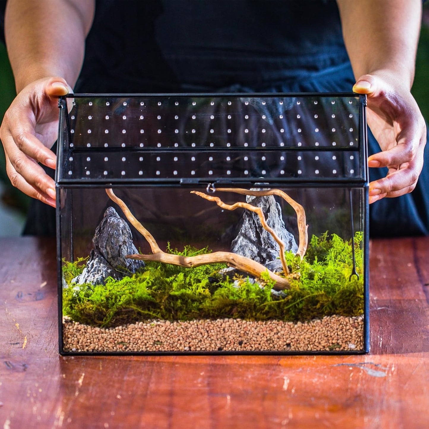 NCYP House Shape Glass Terrarium with Acrylic Lid - 10.2x5.9x8.2 Inches Large Geometric Box for Snails, Ferns, Succulents, Air Plants, Indoor Tabletop Decor, Handmade (Terrarium Only)