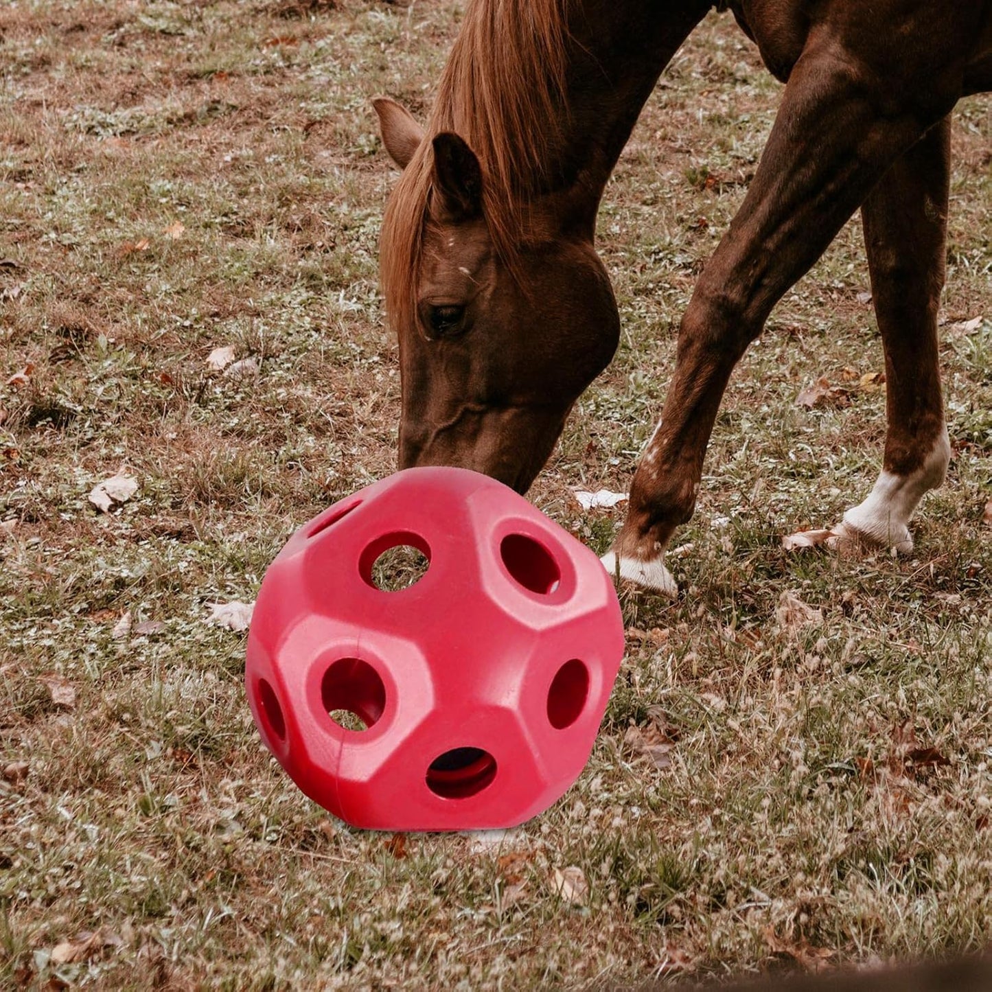 Cute 15.7" Horse Treat Ball, Carrot Feeding Toy Ball Multifunctional Hanging Treat Snack Ball for Horse Stable Stall Paddock Rest, Red