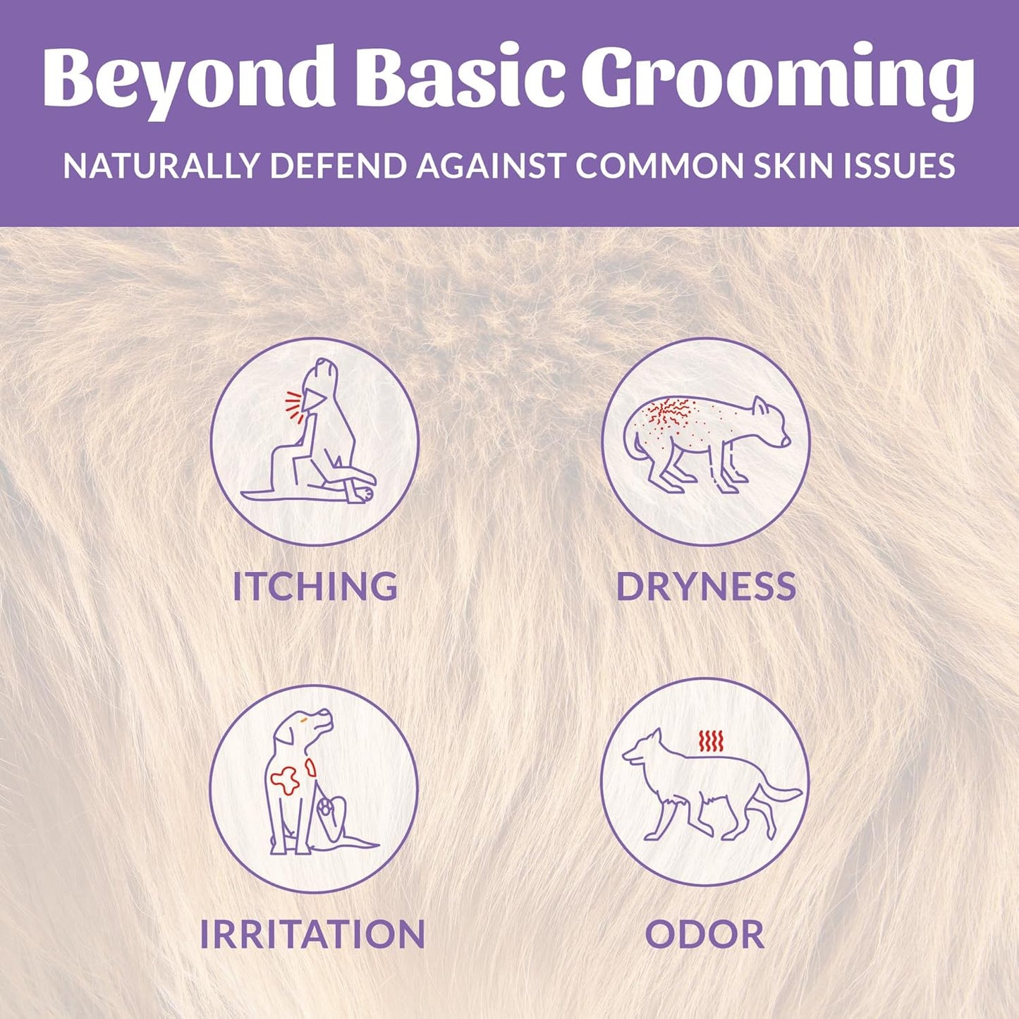 SKOUT'S HONOR Probiotic Pet Deodorizer Spray- Hydrating Daily-Use with Avocado Oil & Omega-3s, Microbiome Friendly Certiified, Paraben & Sulfate-Free, 97% Natural, 8oz, Lavender