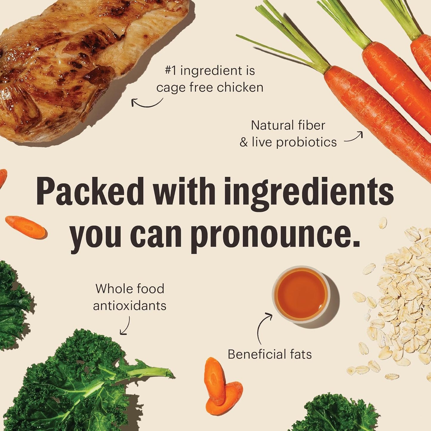 The Honest Kitchen Whole Food Clusters Whole Grain Chicken & Oat Dry Dog Food, 1 lb Bag