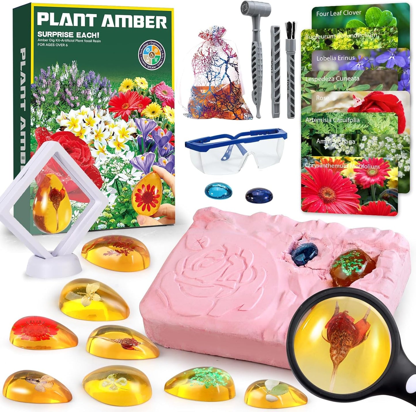 Flower Amber Dig Kit - 8 Flowers Specimens Excavation Kit, Flower Toy for Kids Girls, Plant Gift Dig Kits, Flower Plant Toys for Girls 6 and up Year Old Birthday Valentine's Day Gifts