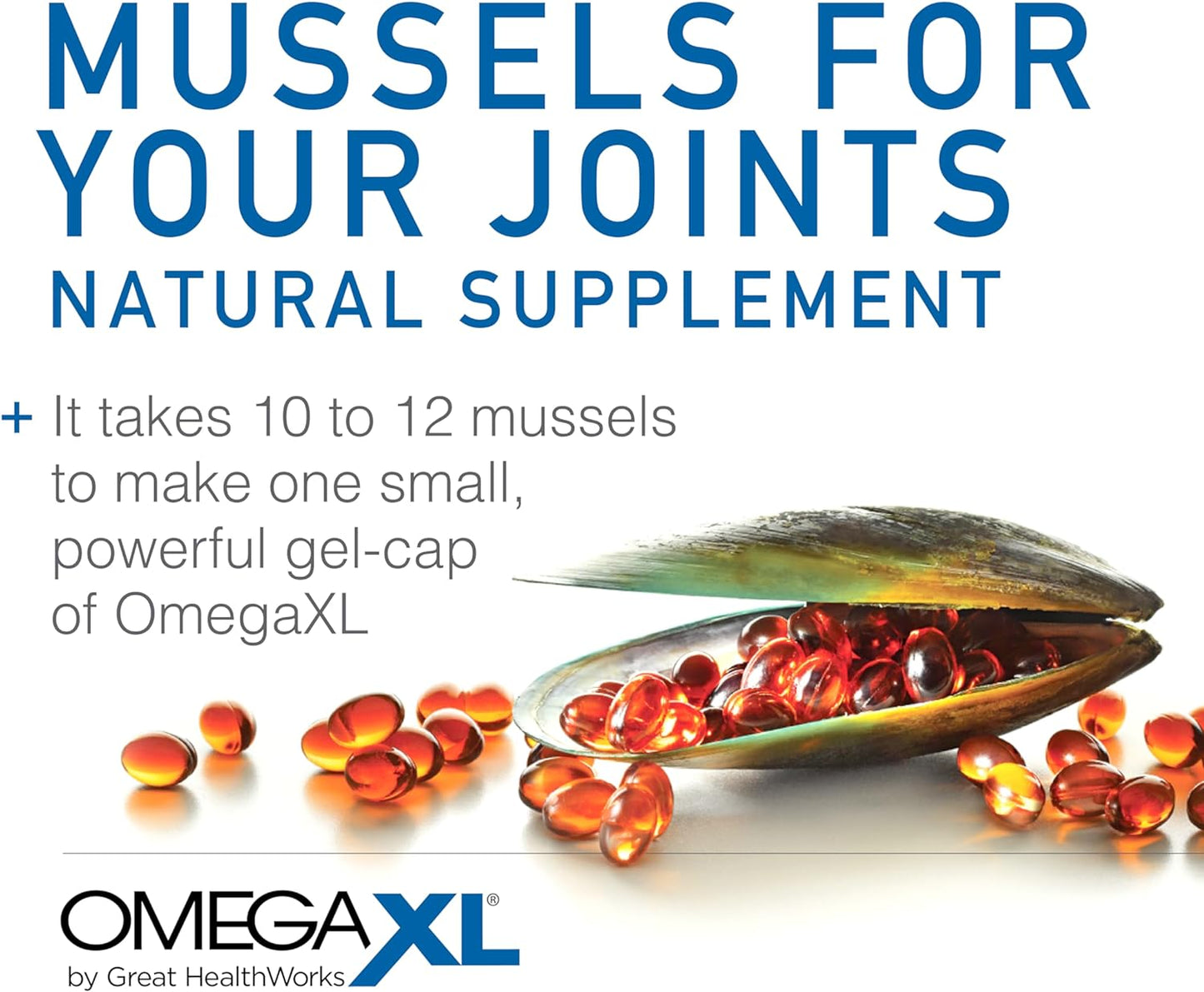 OmegaXL Joint Support Supplement, for Relief - Natural Muscle Support, Green Lipped Mussel Oil, Soft Gel Pills, Drug-Free, 60 Count