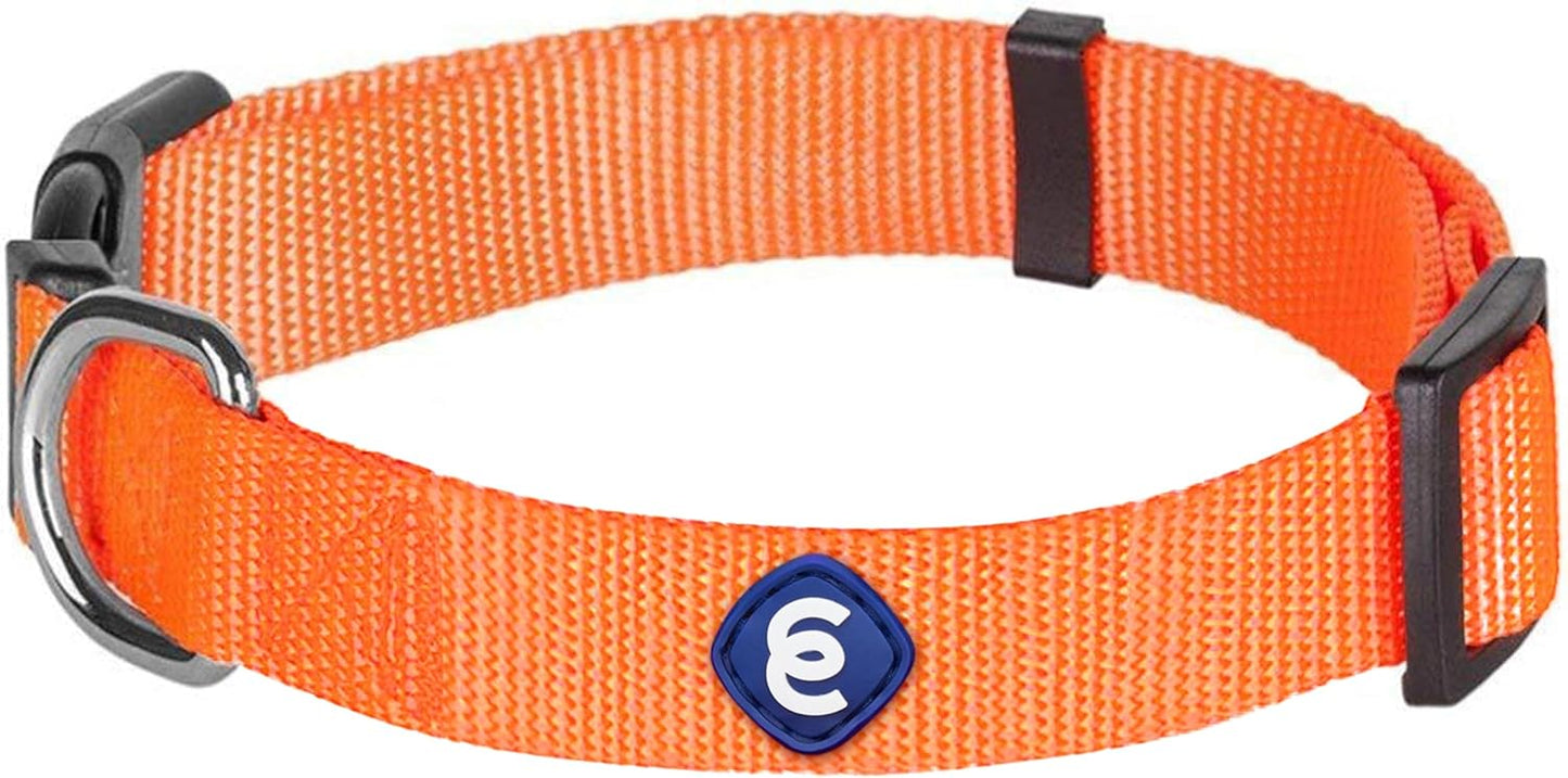 Blueberry Pet Essentials Florence Orange Adjustable Nylon Dog Collar for Large Dogs, Classic Solid Color Pet Safety & Style for Small Dogs