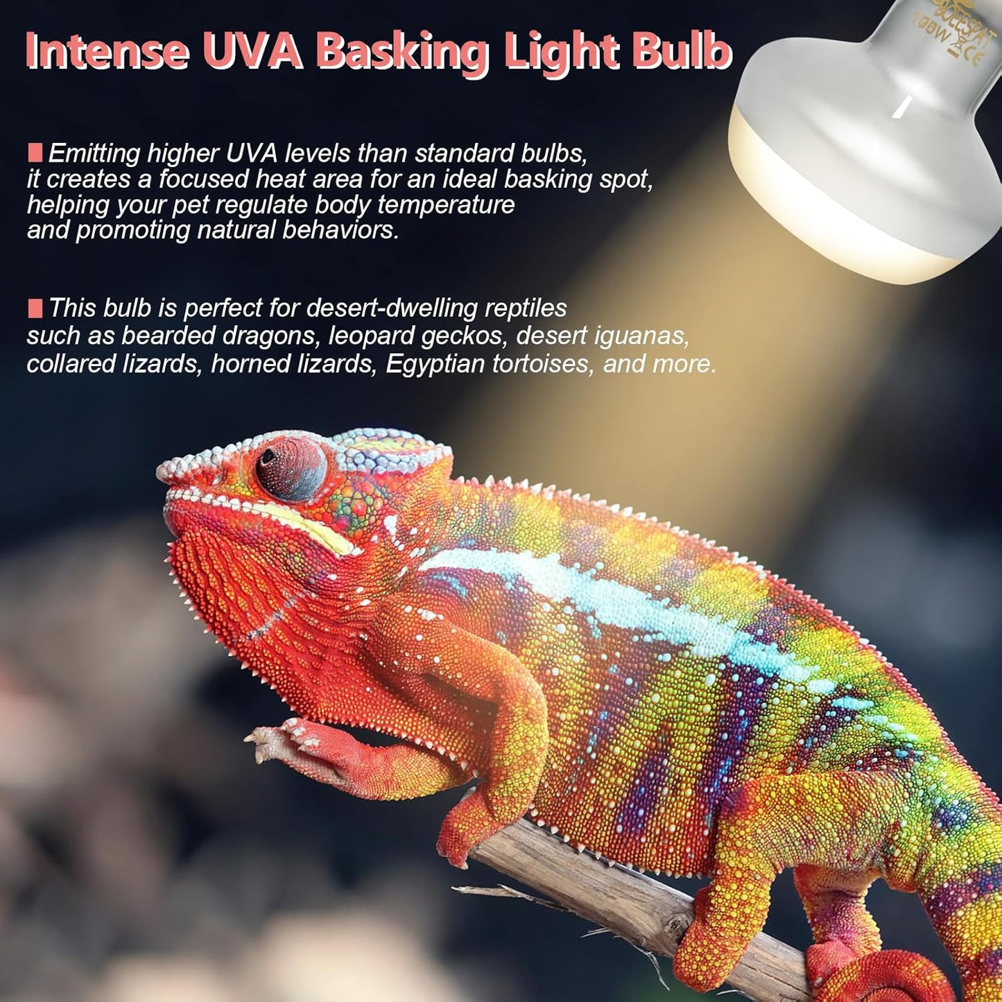 Intense 75W UVA Daylight Heat Lamp Bulbs for Basking - Simulated Sunlight Perfect for Desert-Dwelling Reptiles and Amphibians Like Bearded Dragons, Geckos, Iguanas, Lizards, (Pack of 2)